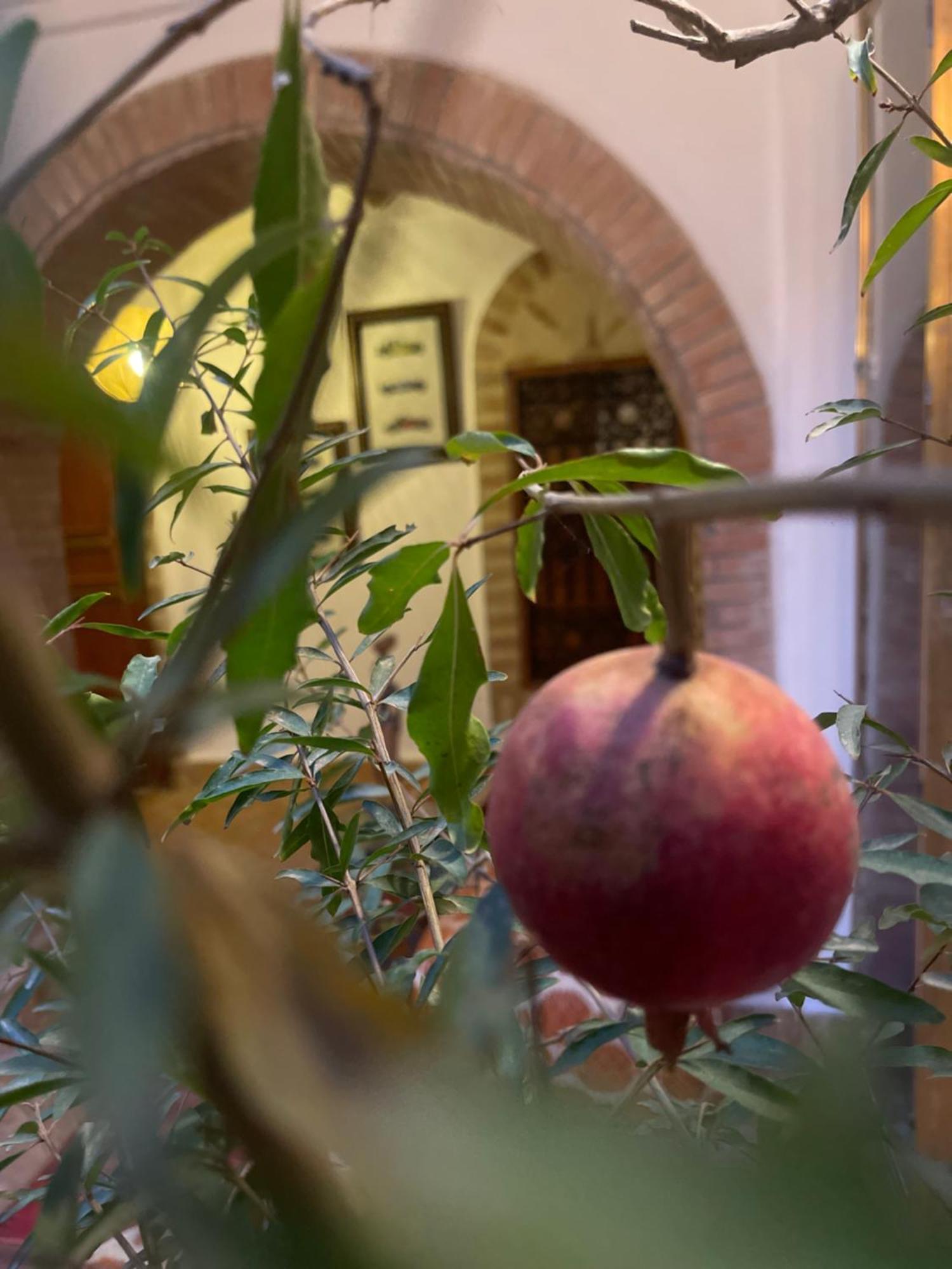 La Maison Berber Shams Marakéš Exteriér fotografie